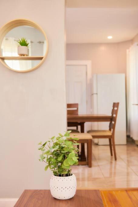 Cozy Apartment 1St 10Min Walk Downtown And City View 普罗维登斯 外观 照片